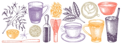 Hand-sketched green tea drinks and ingredients collection in color. Vector sketches of hot beverage cups, dried leaves, jasmine blossoms. Popular tea drawings for cafe or restaurant menu design